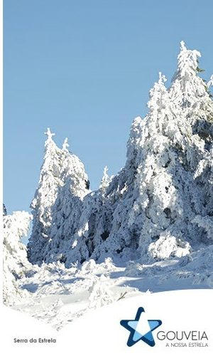 neve