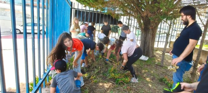 Talentos Objetivos celebra a Semana das Espécies Invasoras